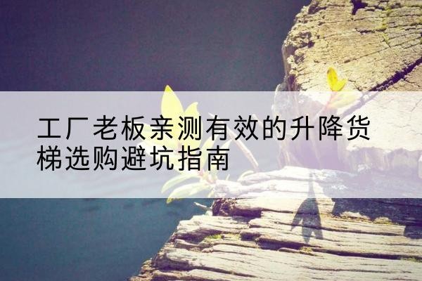 桥东升降货梯怎么选-工厂老板亲测有效的升降货梯选购避坑指南