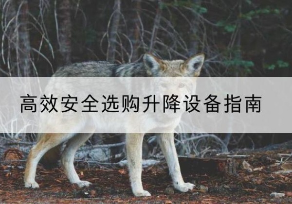 桥东升降货梯厂家推荐-*安全选购升降设备指南