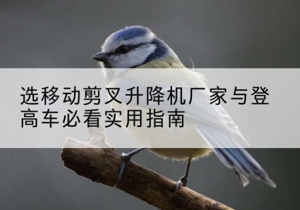 桥东电动升降机厂家-选移动剪叉升降机厂家与登高车必看实用指南
