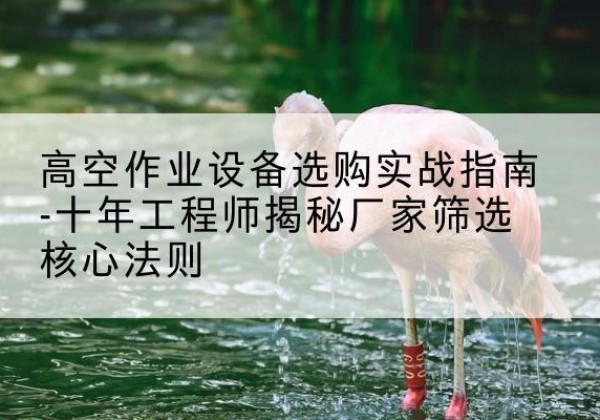 桥东剪叉式升降机厂家-高空作业设备选购实战指南-十年工程师揭秘厂家筛选核心法则