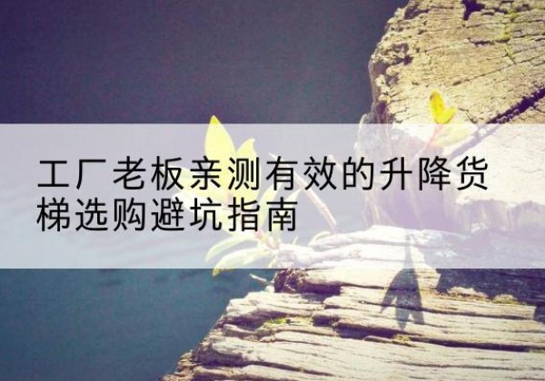 桥东升降货梯怎么选-工厂老板亲测有效的升降货梯选购避坑指南